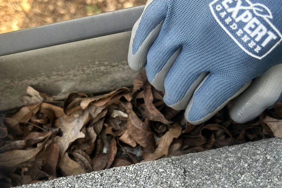 Gutter Cleaning Gaithersburg