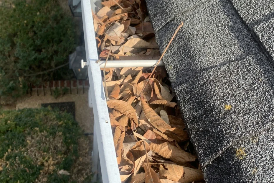 Gutter Cleaning Gaithersburg