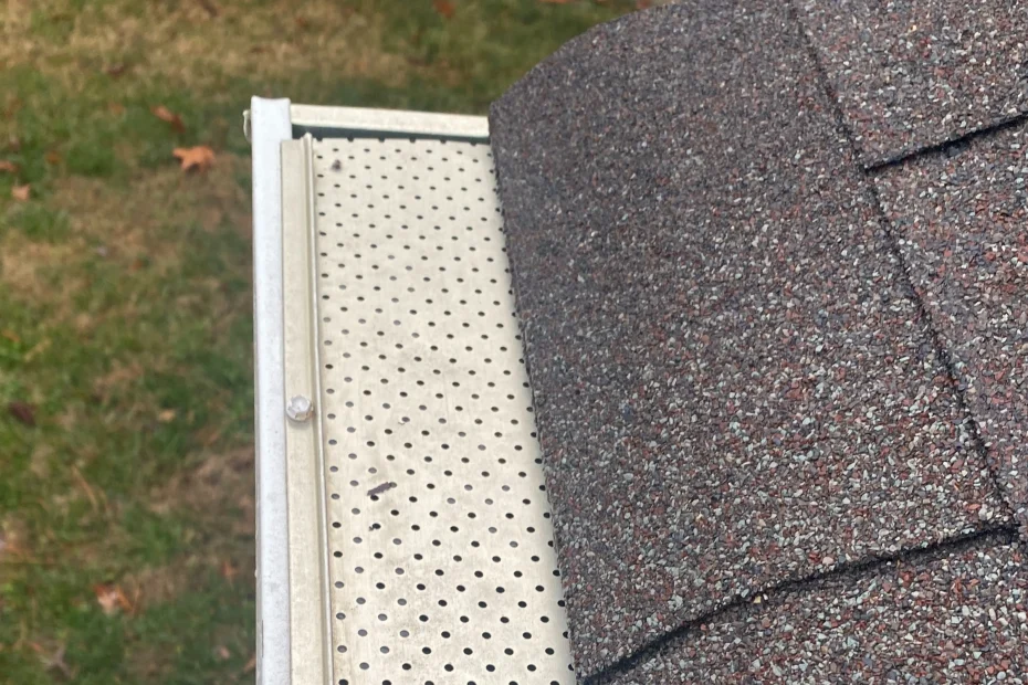 Gutter Cleaning Gaithersburg